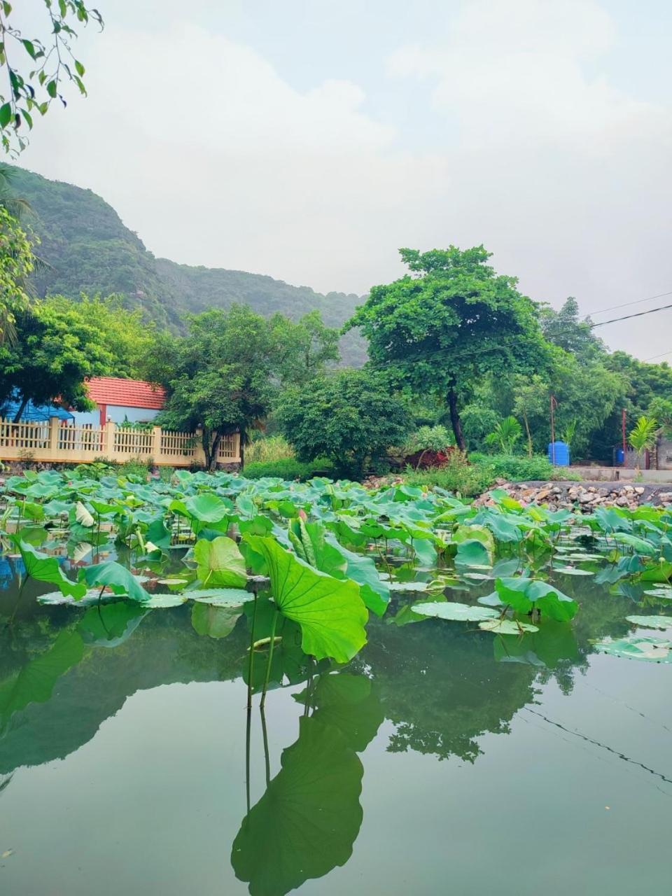 Trang An Natural Mountainside Homestay Νιν Μπιν Εξωτερικό φωτογραφία
