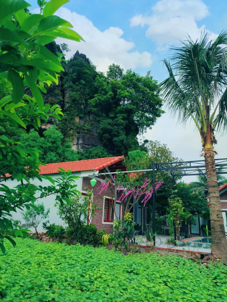 Trang An Natural Mountainside Homestay Νιν Μπιν Εξωτερικό φωτογραφία