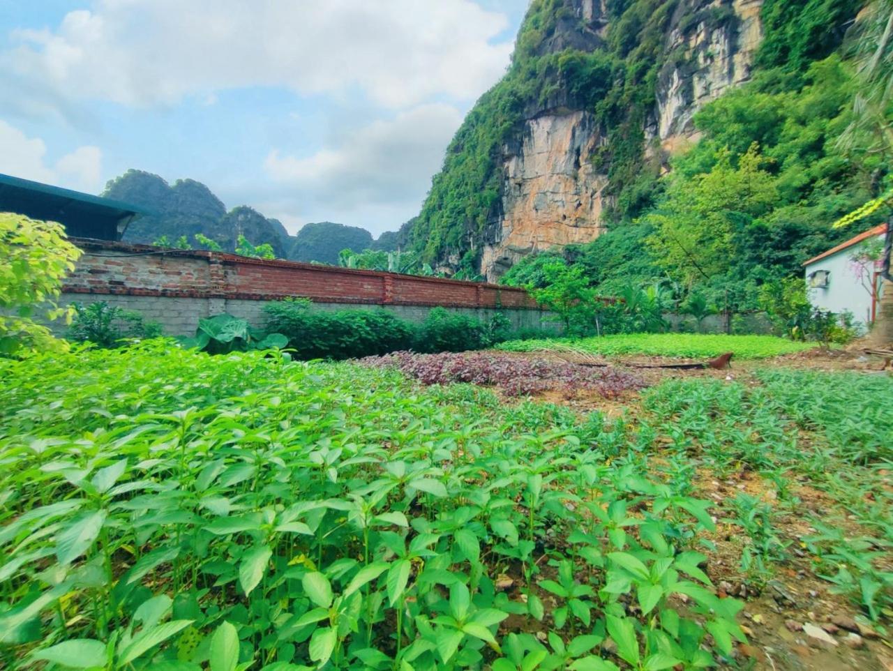 Trang An Natural Mountainside Homestay Νιν Μπιν Εξωτερικό φωτογραφία