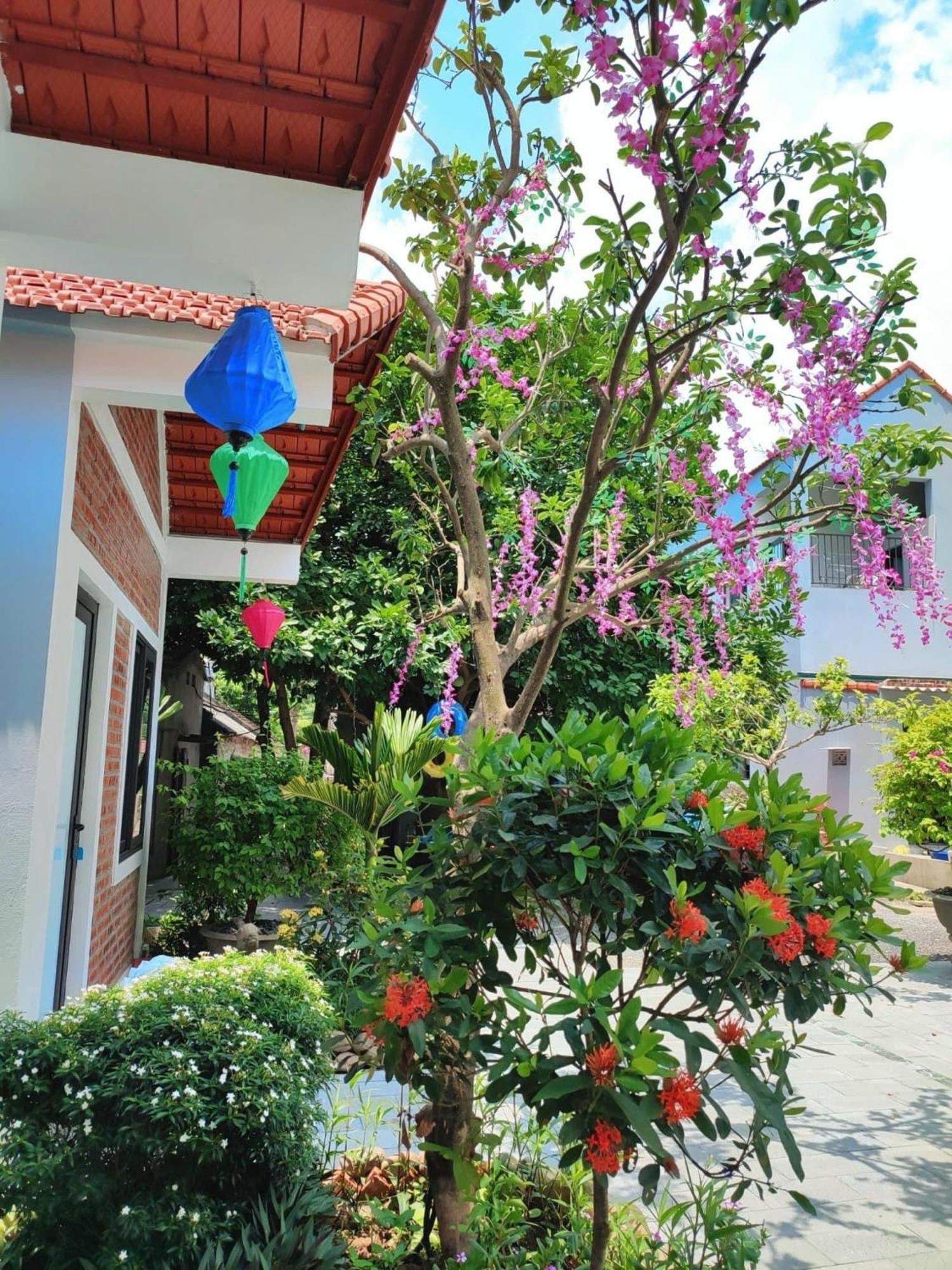 Trang An Natural Mountainside Homestay Νιν Μπιν Εξωτερικό φωτογραφία